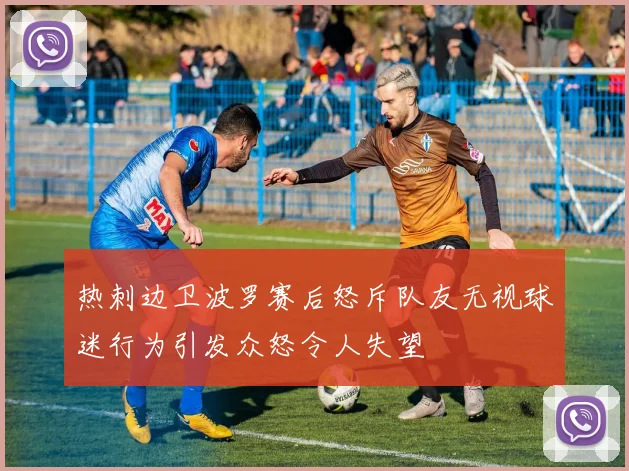 热刺边卫波罗赛后怒斥队友无视球迷行为引发众怒令人失望