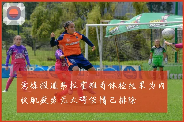 意媒报道弗拉霍维奇体检结果为内收肌疲劳无大碍伤情已排除